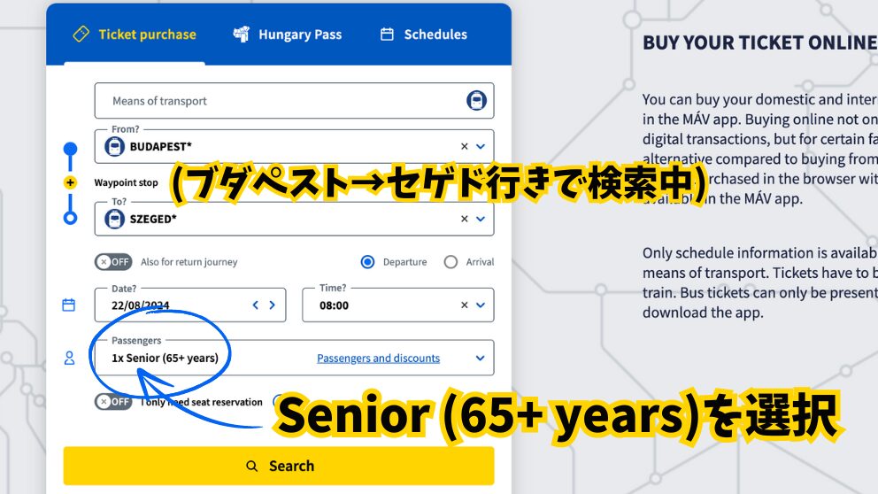 MAVのチケットを65歳以上と入力して購入する方法の説明