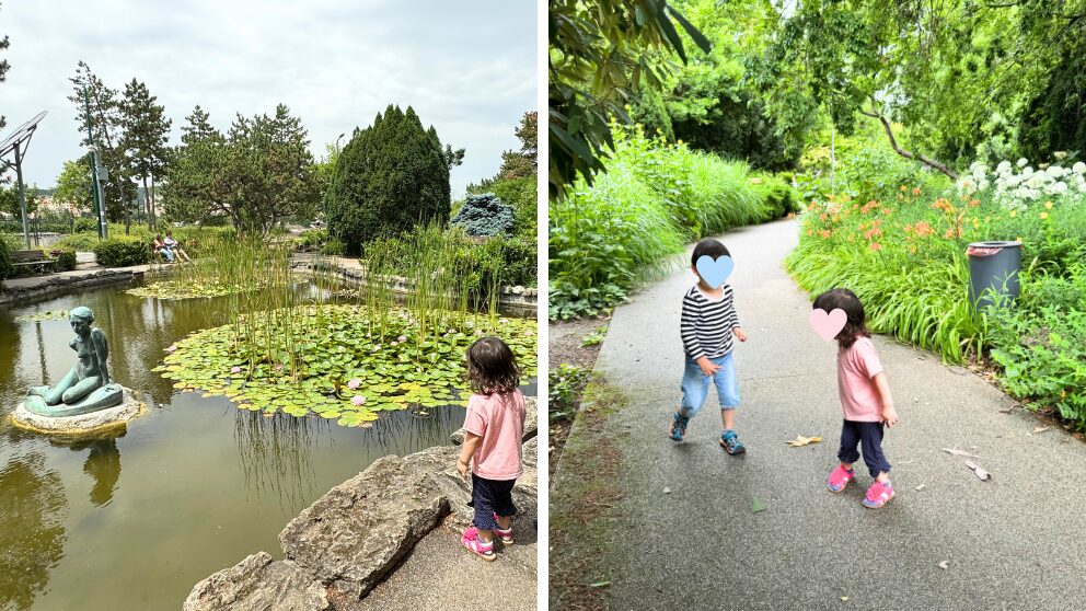 マルギット島の日本庭園周辺の様子