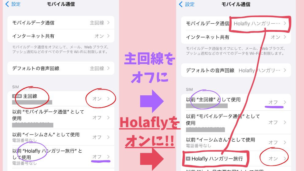 Holafly（オラフライ）のeSIMを目的地到着後にオンにして、主回線はオフにしている様子