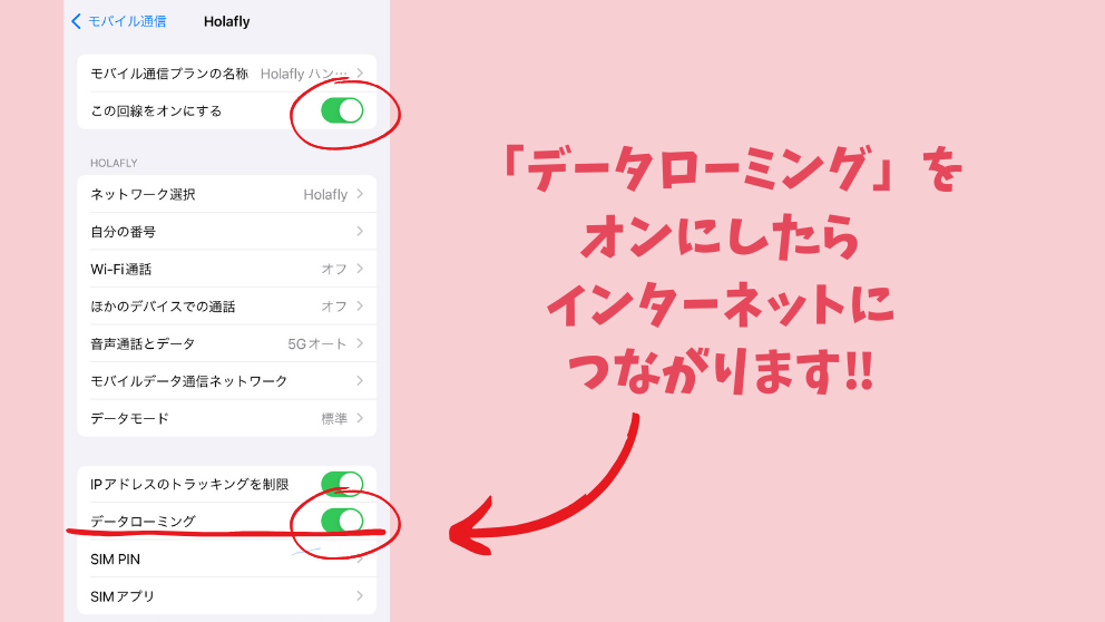 Holafly（オラフライ）のeSIMの回線とデータローミングがオンになったら、インターネット利用開始