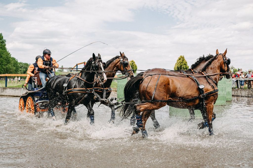 ハンガリーの4頭立ての馬車