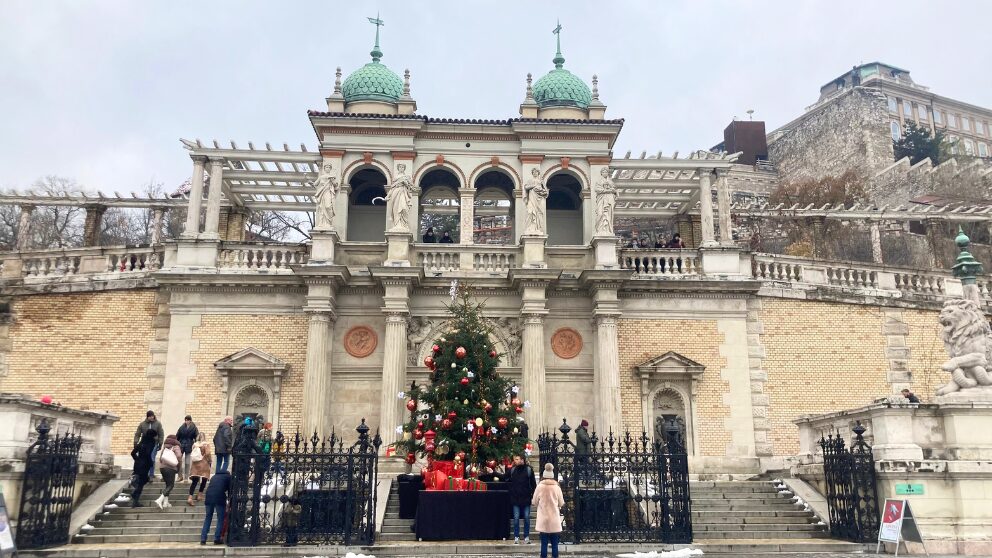 冬のヴァールケルト・バザール。クリスマスツリーが飾られている