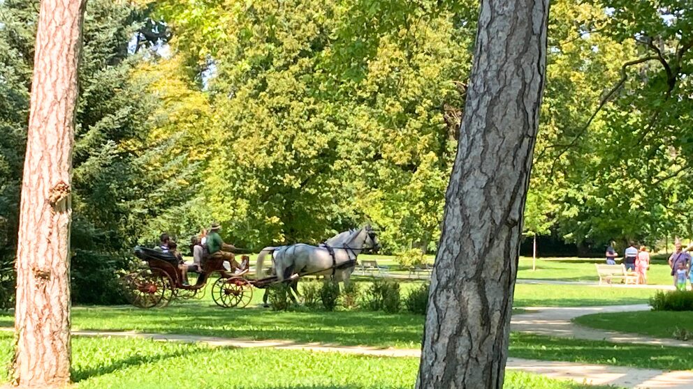 ハンガリーのケストヘイにあるフェシュテティッチ宮殿の庭園を走る馬車